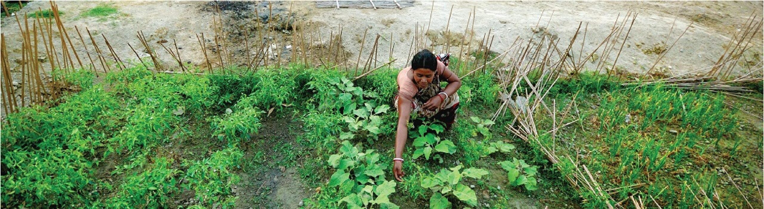 Banglarbhumi